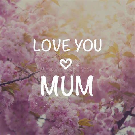 I Love You Mum Card Stock Image Image Of Sakura Colorful 70459103