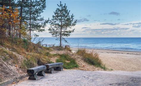 View On Sandy Beach Dune And Pine Forest In Jurmala Latvia Stock