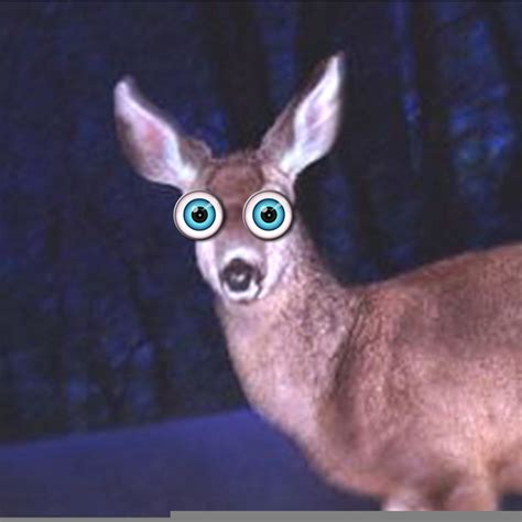 Deer Caught In Headlights Clipart Free Images At Vector