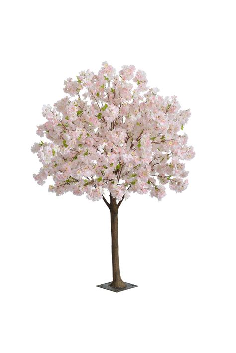 Feb 18, 2021 · british tree guide: Artificial Cherry Blossom Ball Tree Pink