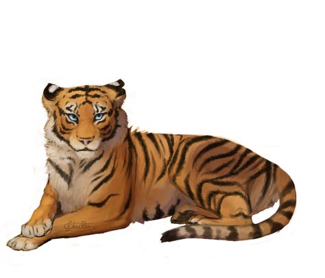 Tiger Commission By Baileeluz On Deviantart