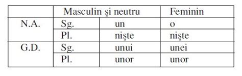 Gramatica pe intelesul elevilor. Articolul - explicatii si ...