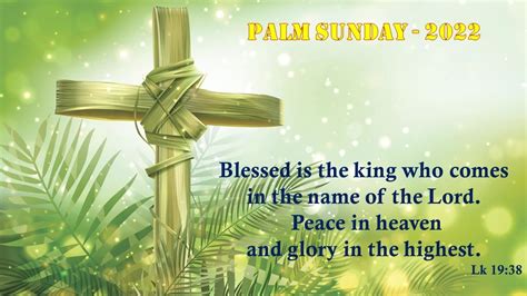 Palm Sunday Of The Lords Passion Domingo De Ramos“de La Pasión Del