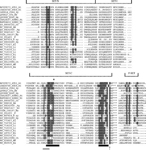 Sequence Alignment Of Bacterial And Selected Eukaryotic Set Domain