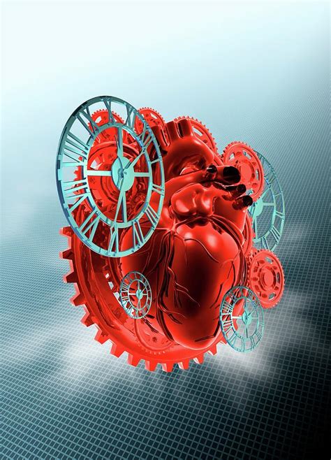 Mechanical Heart Photograph By Victor Habbick Visionsscience Photo
