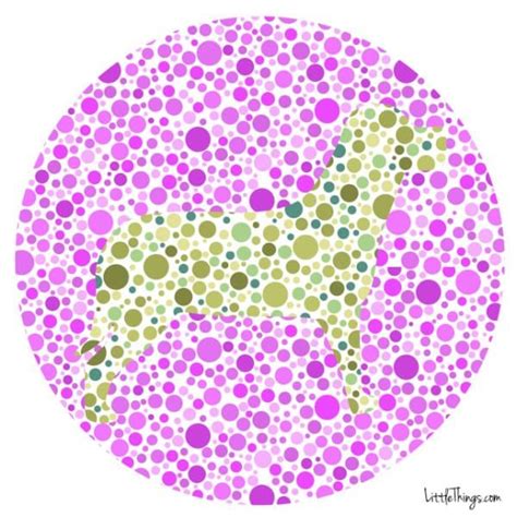 Based on the results of your color blind test, color spectrum is generated as you see and display it next to a normal color spectrum. Pin on Ovi-Testünk