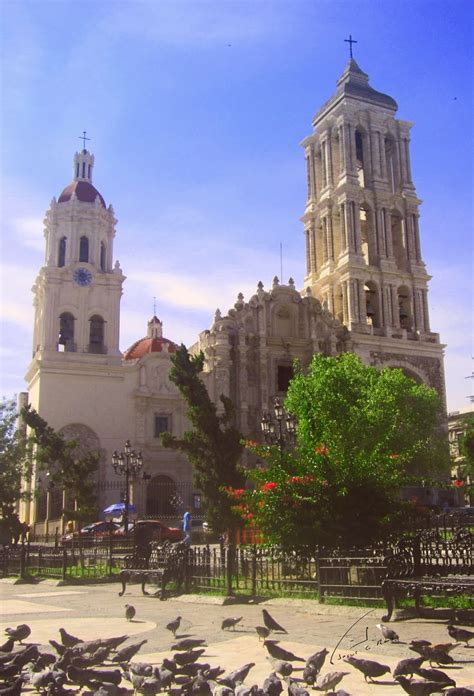 Catedral De Santiago De Saltillo Coahuila Catedral México