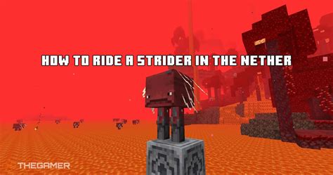 Minecraft How To Ride A Strider In The Nether