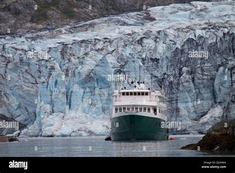 Wilderness Explorer In Front Of The Margerie Glacier Glacier Bay