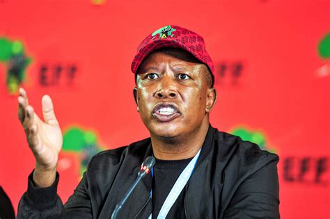 malema admits it will take a long time for eff to govern city press