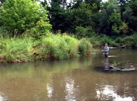 Maybe you would like to learn more about one of these? Whitewater River Minnesota | Trout Pro Store