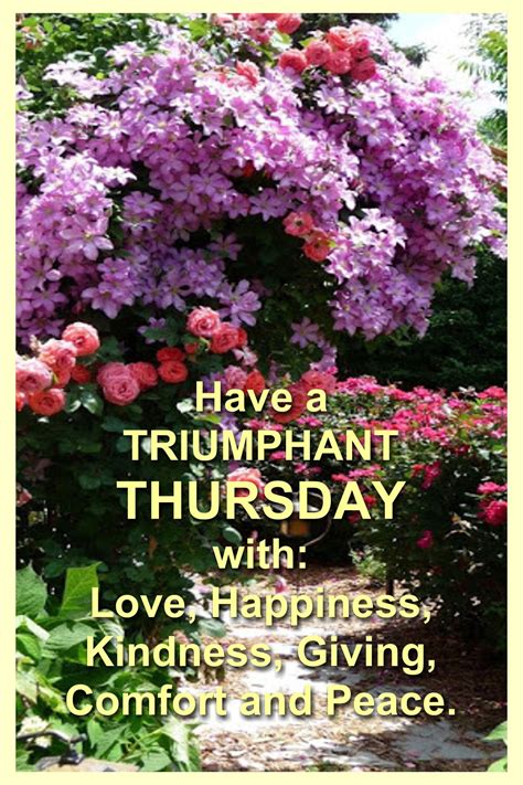 Pin on Everyday⚘ Blessings