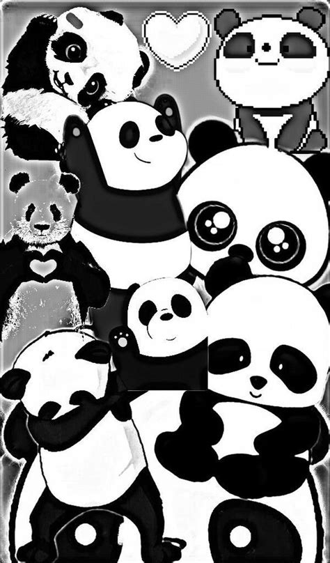 Gambar Panda Lucu Dan Imut Untuk Wallpaper Blacki Gambar