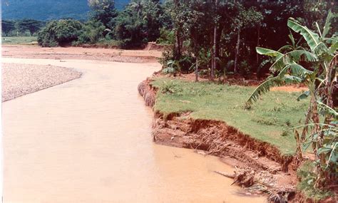 Sedimentasi fluvial yakni sedimentasi yang terjadi di sungai dan disebabkan oleh air sungai. GEOGRAFI SMA