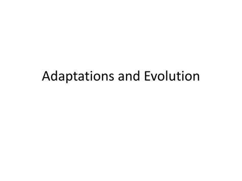 Ppt Adaptations And Evolution Powerpoint Presentation Free Download