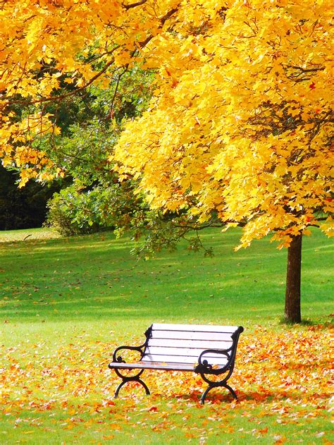 Autumn Bench Wallpapers Top Free Autumn Bench Backgrounds