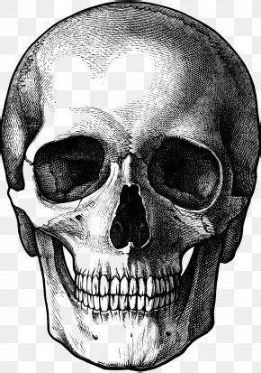 Get pencabut nyawa's contact information, age, background check, white pages, email, criminal records, photos, relatives & social networks. Skull Pencabut Nyawa Png - Papua New Guinea Skull High ...