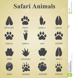 Tierspuren im frisch gefallenen schnee sind so etwas wie die tageszeitung der natur. tiger paw prints walking drawing | cougar paw prints ...