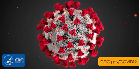 News Information Regarding Covid 19 Coronavirus