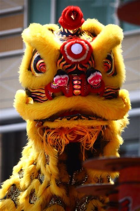 84 Best Lion Dance Images On Pinterest Dragons Chinese Art And Dance