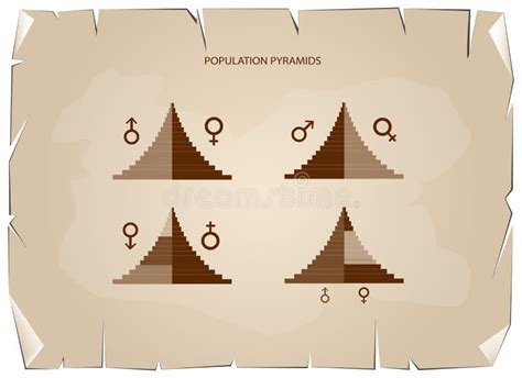 Detail Of Population Pyramids Graphs Depend On Age And Sex Stock Vector Illustration Of