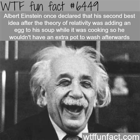 Albert Einsteins Second Best Idea WTF Fun Facts Wtf Fun Facts True