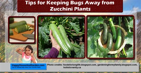 Check spelling or type a new query. Tips for Keeping Bugs Away from Zucchini Plants. Read the ...