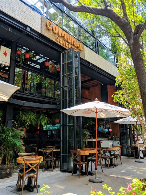 A Guide To Falling In Love With La Condesa Mexico City Bacon Is Magic
