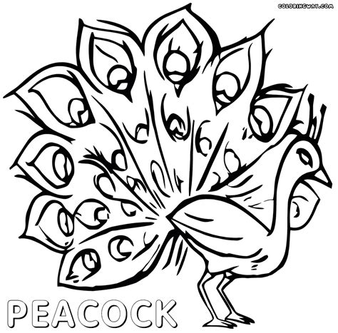 Super coloring free printable coloring pages for kids coloring sheets free colouring book illustrations printable pictures clipart black and white pictures line art and drawings. Peacock coloring pages | Coloring pages to download and print