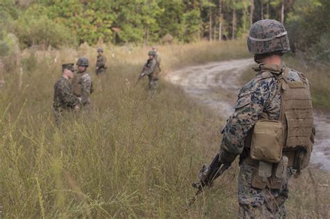 Marine Infantryman Train Artillerymen In Advanced Patrolling Ahead Of