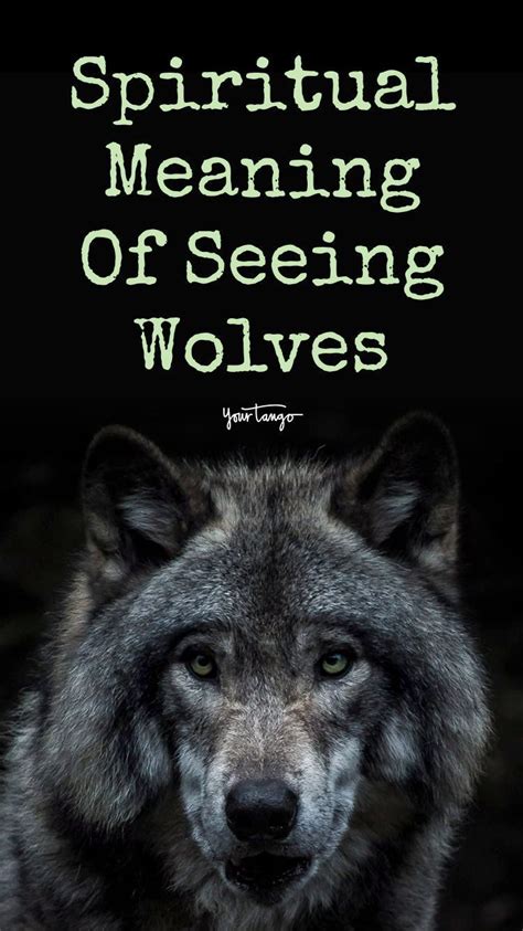 Wolf Symbolism And Meanings Are Everywhere And The Spiritual Meaning