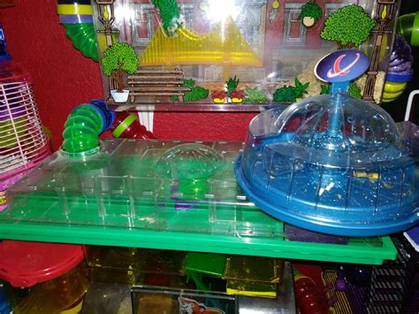 Maze 3rd Level Hartz Hamster Vintage Module Sits Right On Top Of