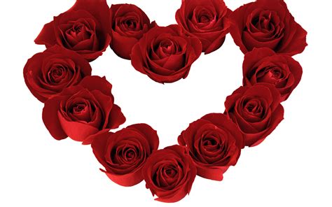 My Beautiful Picutre Album Heart Shaped Beautiful Red Roses