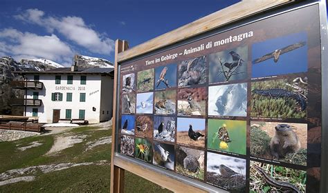 Nella piccola azienda famigliare, con un allevamento tradizionale di pecore e un giardino delle erbe, potrete godere di pace e relax con una vista mozzafiato. Appartamenti a La Villa in Alta Badia