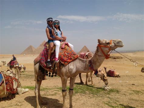 Riding Camels In Egypt | Camel Ride At Giza Pyramids - Luxor and Aswan