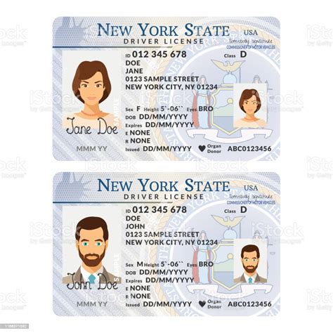 Vector Template Of Sample Driver License Plastic Card For Usa New York