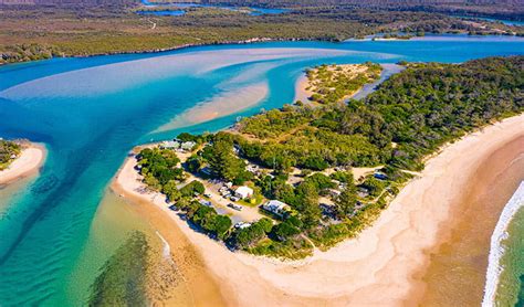 Sandon River Campground Nsw National Parks