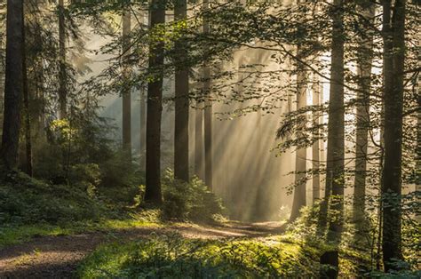 Gefällt 23.673 mal · 36 personen sprechen darüber · 2.860 waren hier. Elevation of Femos GmbH, Auf der Härte 13, Altensteig ...