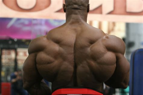 Tutorials on the anatomy and actions of the back muscles, using interactive animations, diagrams, and illustrations. Muscles 101: Main Muscle Groups from a Bodybuilding ...