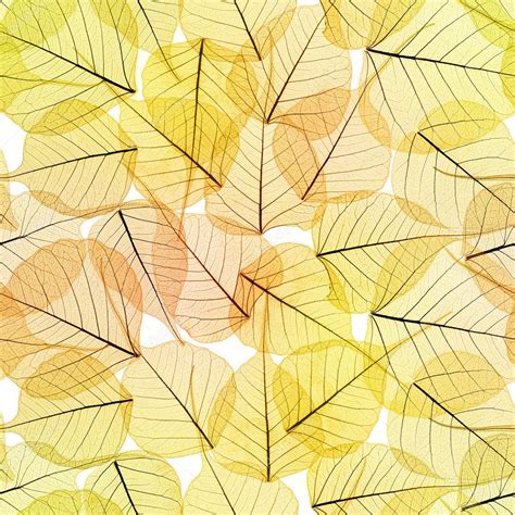 Seamless Background Autumn Leaves Pattern — Stock Photo