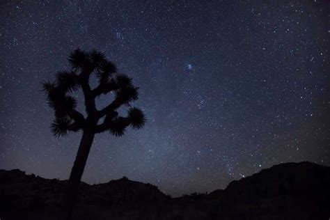 How To Plan A Joshua Tree Stargazing Trip In 2019 ⋆ Space Tourism Guide