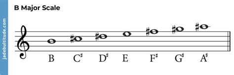 Chords In B Major A Music Theory Guide