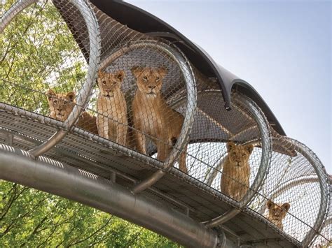 Philadelphia Zoo To Reopen In Early July | Philadelphia, PA Patch