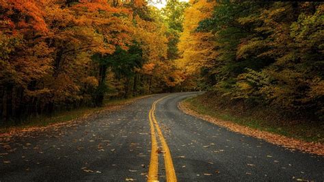 Fall Road Wallpapers Top Free Fall Road Backgrounds Wallpaperaccess