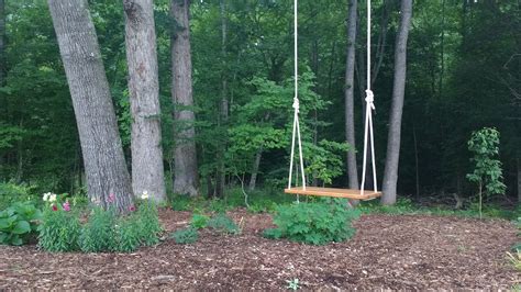 Piedmont Tree Climbing Ptc Tree Swing Installation