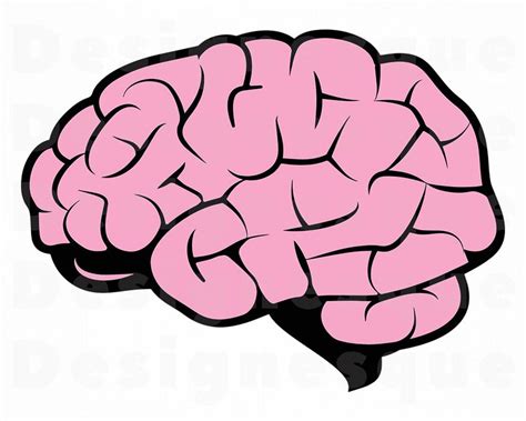 Brain Png Brain Vector Brain Dxf Mind Svg Brain Eps Brain SVG Brain