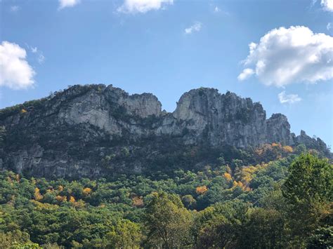 Check spelling or type a new query. Monongahela National Forest Turns 100 Years Old - Elkins ...
