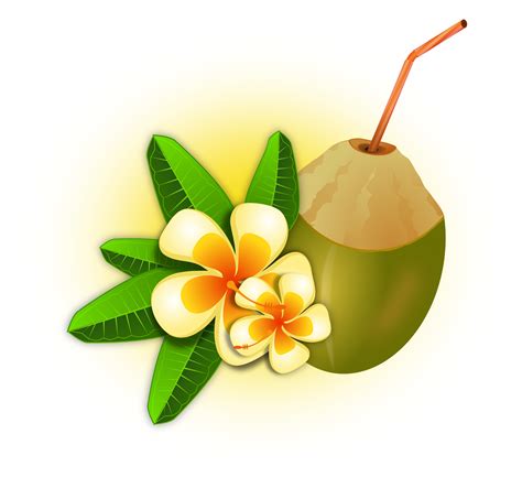 Pngtree provides millions of free png, vectors, clipart images and psd graphic resources for designers.| 3205822 Free Coconut Cliparts, Download Free Clip Art, Free Clip ...