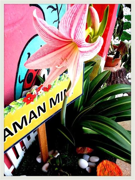 Maybe you would like to learn more about one of these? CIKGU EELA (IL) PRESCHOOLERS @ PCE: Keceriaan Luar Kelas ...