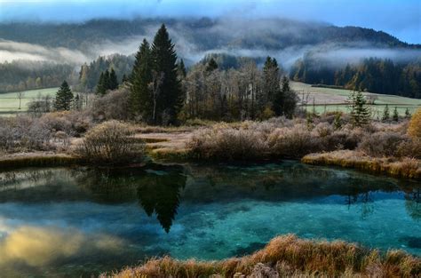 Nature, biodiversity, natural parks and reserves, climate change, invasive species, pollution, spatial planning, urban development and land policy, real estate. All You Need To Know To Visit The Zelenci Nature Reserve ...